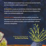 Zwemlessen voor later 2